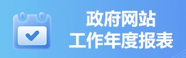 网站工作年度报表